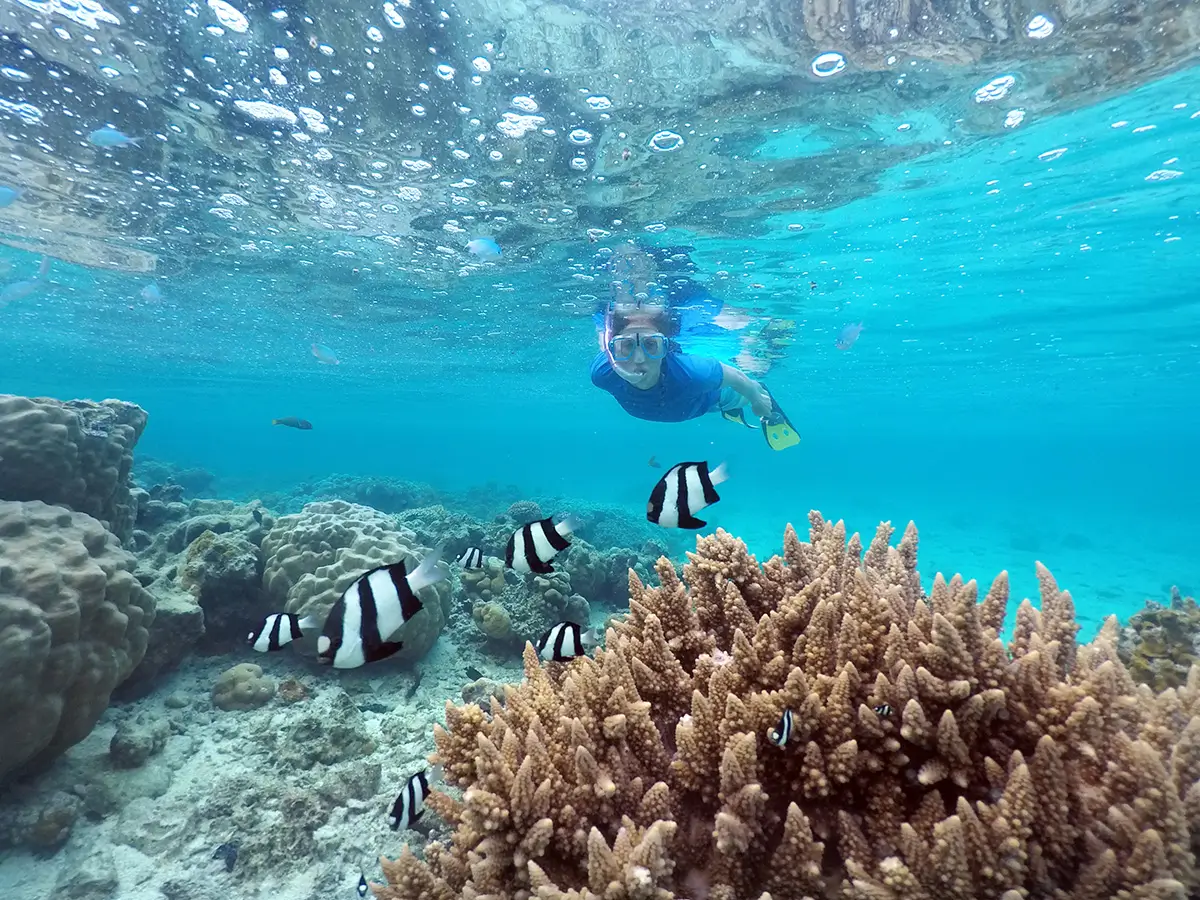 underwater view of someone snorkelling in Rarotonga's waters